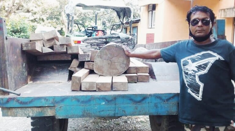 धन्सार वन क्षेत्र बाट चिरान काठ बरामद