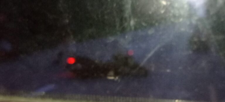 मोटरसाइकल ठोक्किदा तीन जनाको मृत्यू