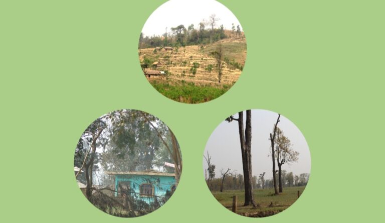 बन मा धेरैको मन