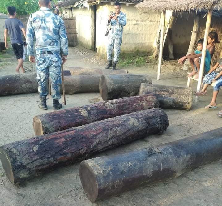 ११ थान गोलिया बरामद