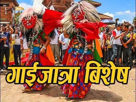 रौतहट संगै देशभर आज गाईजात्रा मनाइंदै