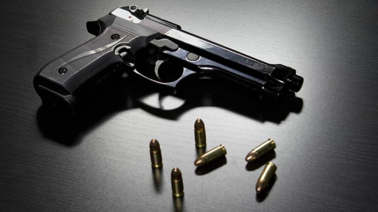 पेस्तोल र गोलीसहित सर्लाहीबाट दुई जना पक्राउ