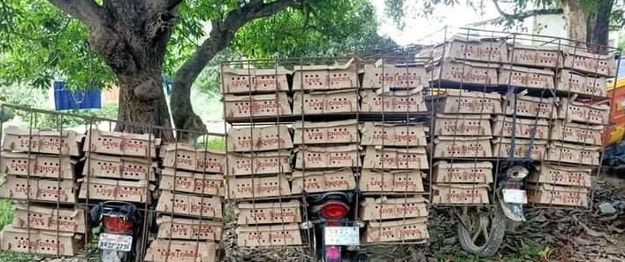 अवैध रुपमा नेपाल भित्र्याएको कुखुराको चल्ला बरामद