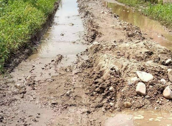 मरधर जाने बाटो जिर्ण ,हिड्डुल गर्न समस्या भएको स्थानीयको गुनासो